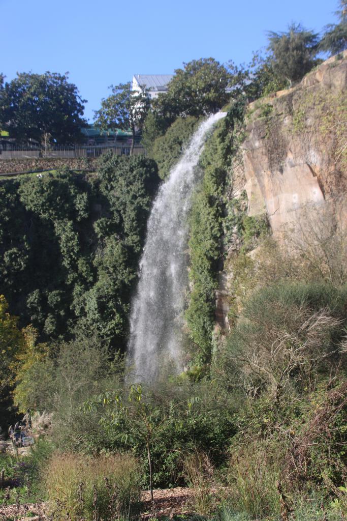 Le jardin extraordinaire