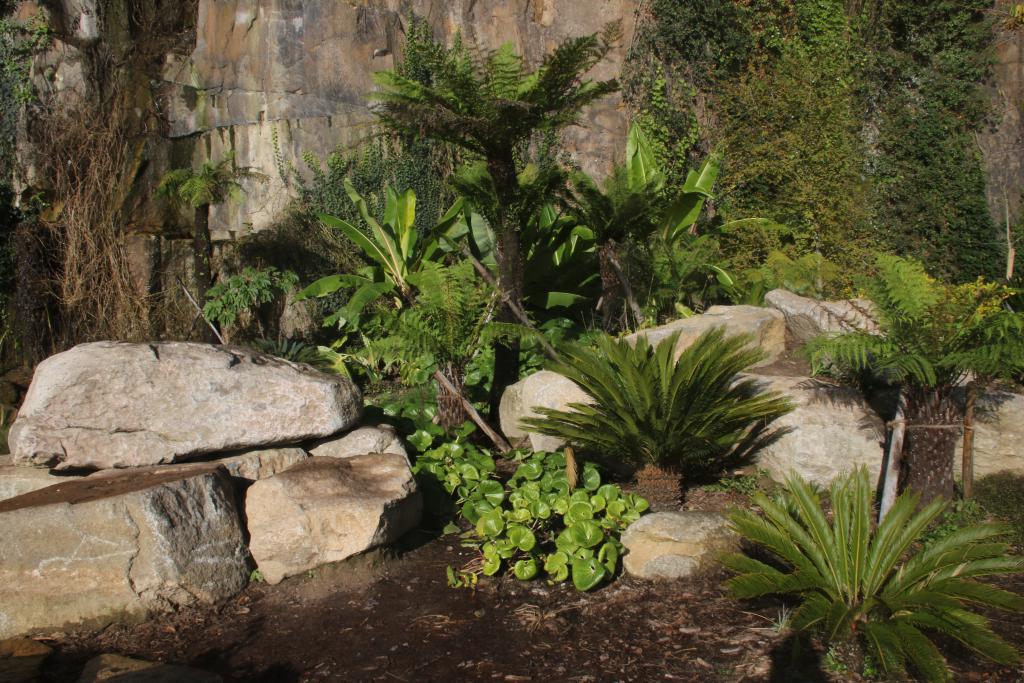 Le jardin extraordinaire