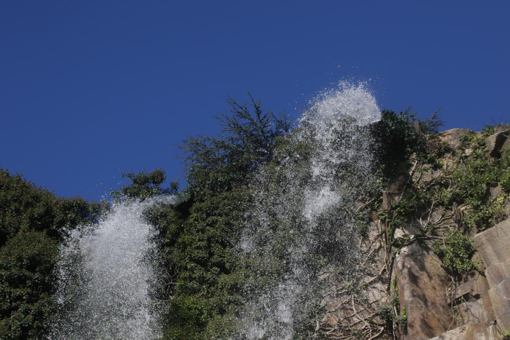 Le jardin extraordinaire