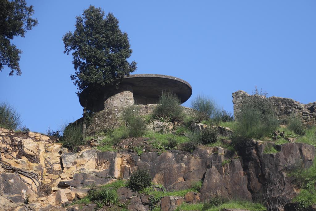 Le jardin extraordinaire