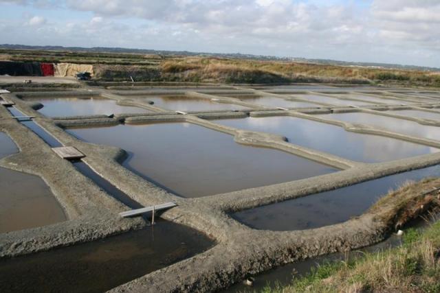 Les marais salants