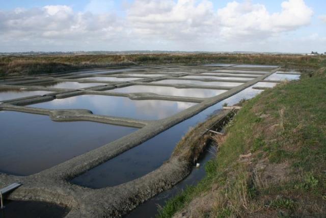 Les marais salants