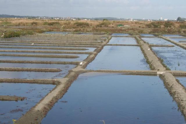 Les marais salants