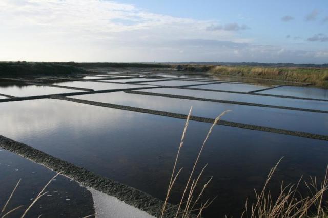 Les marais salants