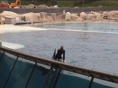 A cheval sur le mammifère