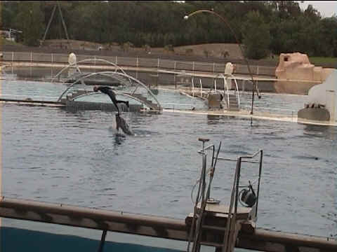 Elévation à cloche pied sur le nez de l'orque
