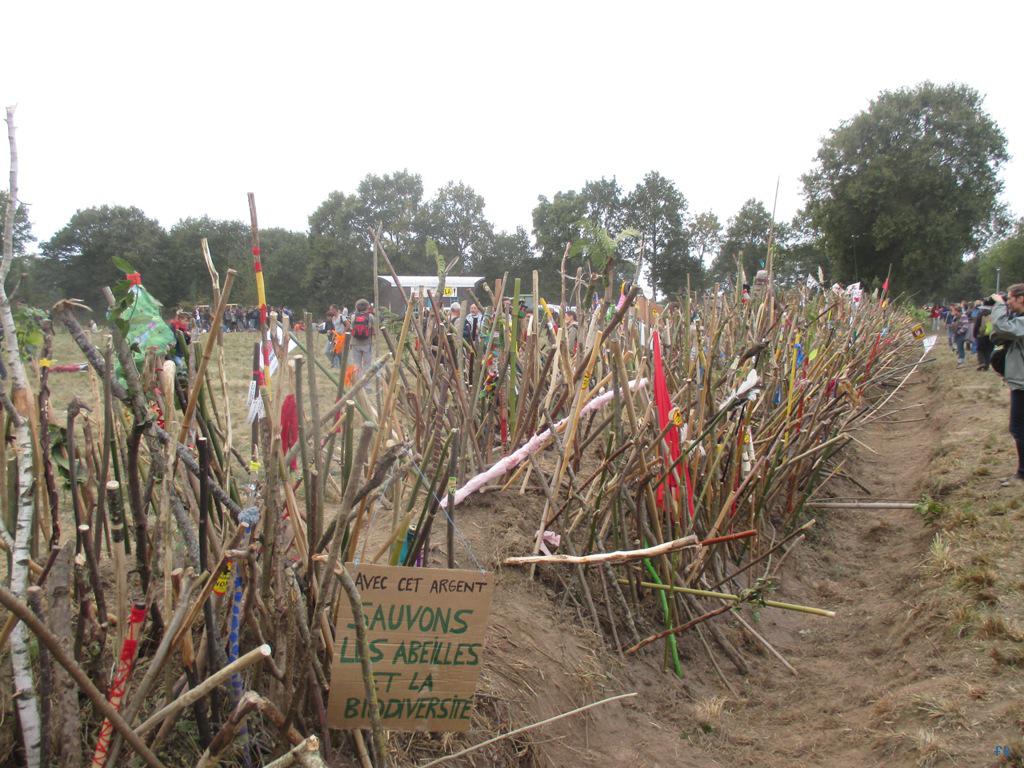Désobéissance civique à NDDL