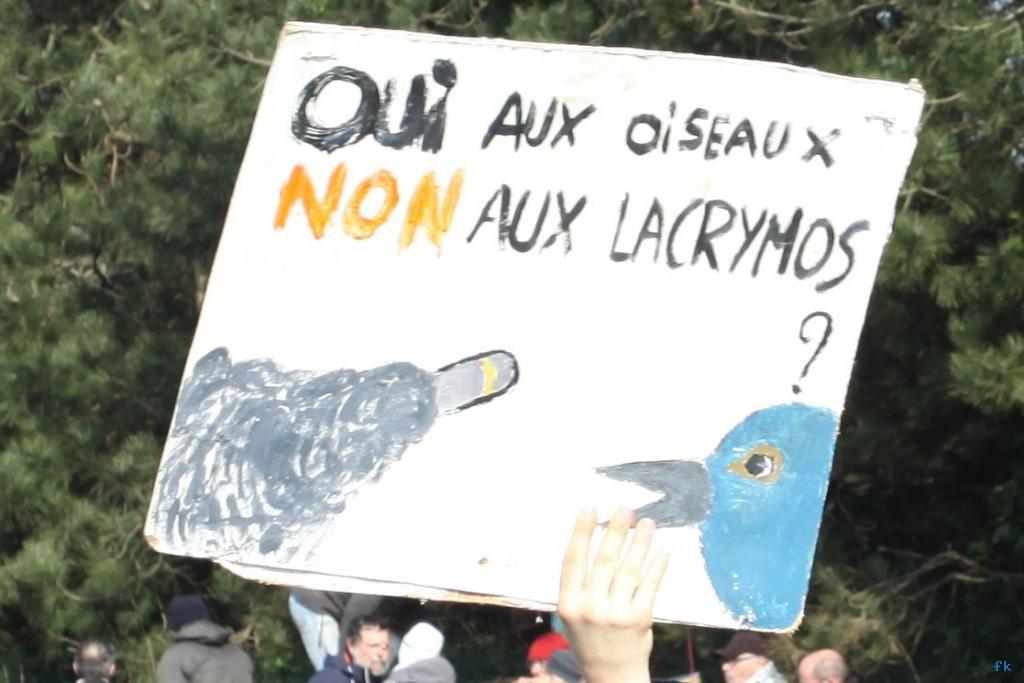 Les opposants à l’aéroport sur la 4 voies