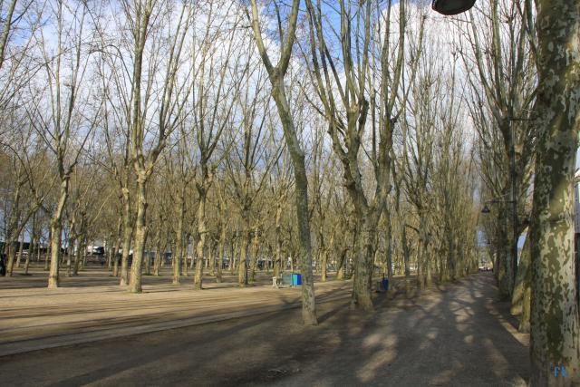 La place des Quinconces au centre de Bordeaux
