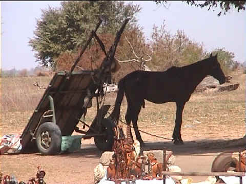 Sénégal